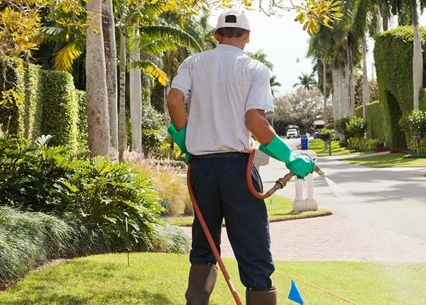 About The Rock GA Pest Control Pros